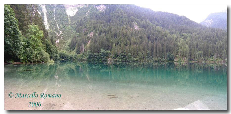 Insetti del Parco Adamello Brenta (TN): immagini e appunti